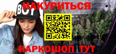 apvp Свободный