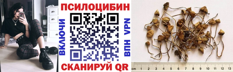 купить наркотики сайты  Усть-Кут  это состав  Галлюциногенные грибы мицелий 