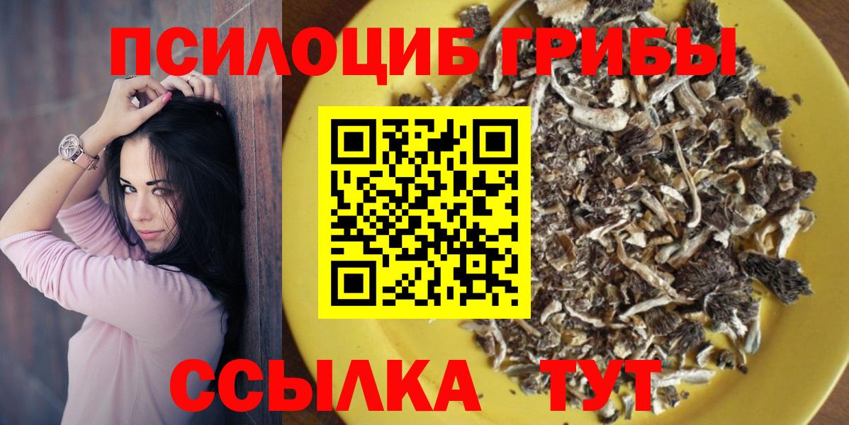 Псилоцибиновые грибы Magic Shrooms  Вход с VPN  Усть-Кут  Псилоцибиновые грибы мухоморы 