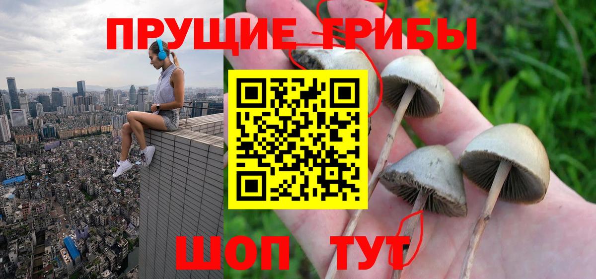Псилоцибиновые грибы прущие грибы  Галлюциногенные грибы MAGIC MUSHROOMS  Усть-Кут 