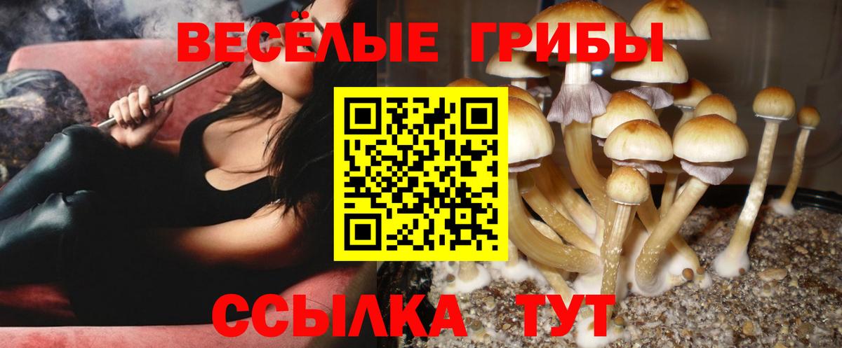 Галлюциногенные грибы MAGIC MUSHROOMS Усть-Кут