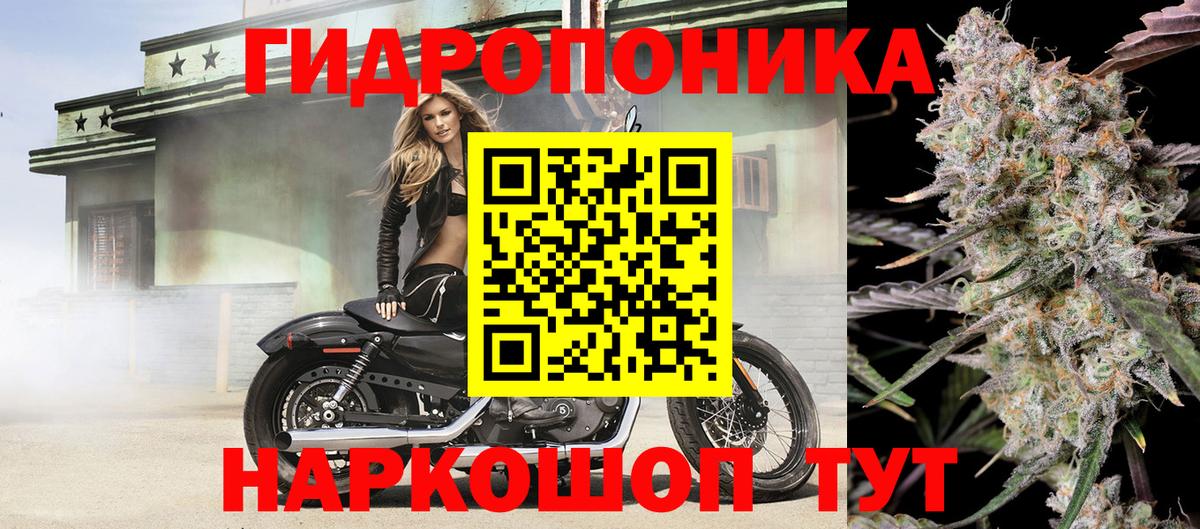 Бошки Шишки AK-47  Конопля планчик  Усть-Кут  Вход с VPN 